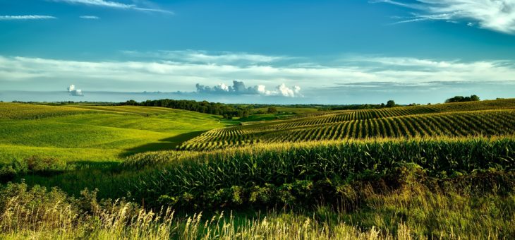 Quels sont les avantages liés à la vente d’un terrain agricole ?